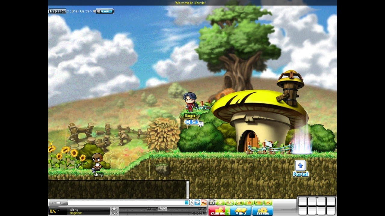 ShinyMS gameplay — a character exploring Maple Road